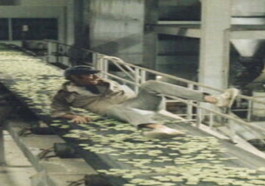 Frame. A man lying on the ground